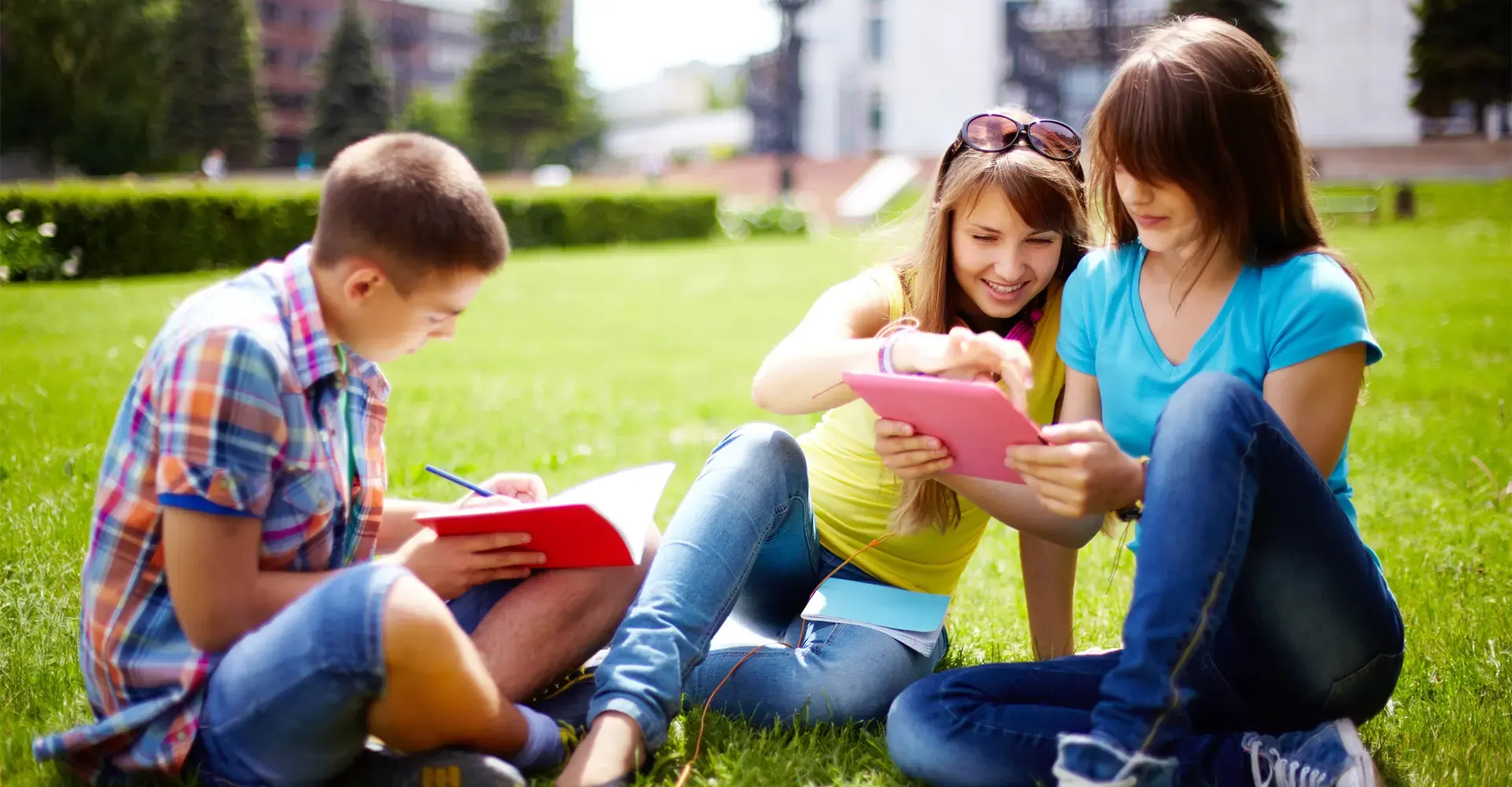 Schüler sitzen auf einer Wiese